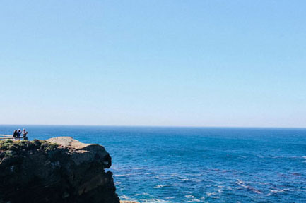 高效实用优质的DDOS平台